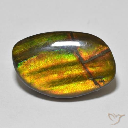 11.86ct Natürlicher Mehrfarbig Ammolith, Fantasie, Lichtundurchlässig