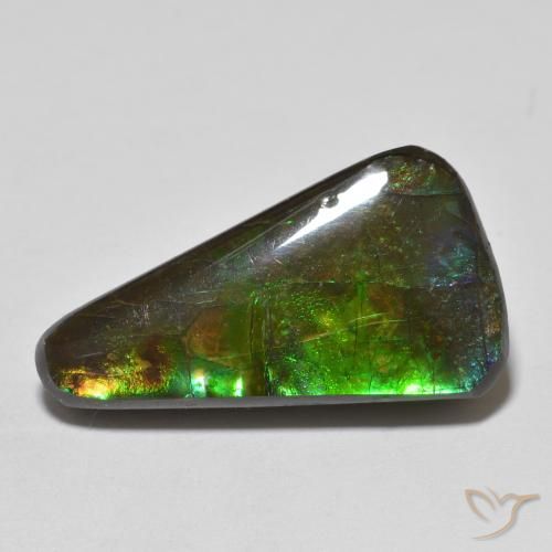 13.74ct Natürlicher Mehrfarbig Ammolith, Fantasie, Lichtundurchlässig