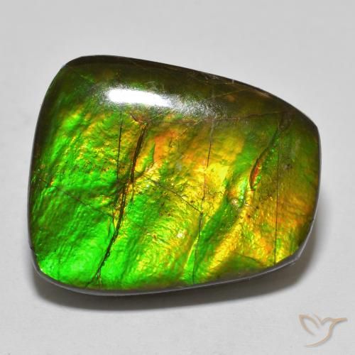 15.03ct Natürlicher Mehrfarbig Ammolith, Fantasie, Lichtundurchlässig