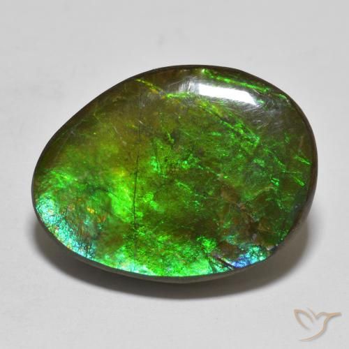 16.14ct Natürlicher Mehrfarbig Ammolith, Fantasie, Lichtundurchlässig