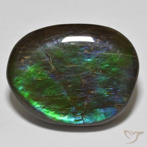 19.98ct Natürlicher Mehrfarbig Ammolith, Fantasie, Lichtundurchlässig