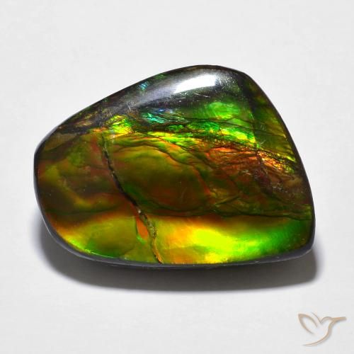 16.94ct Natürlicher Mehrfarbig Ammolith, Fantasie, Lichtundurchlässig