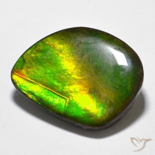11.97ct Natürlicher Mehrfarbig Ammolith, Fantasie, Lichtundurchlässig