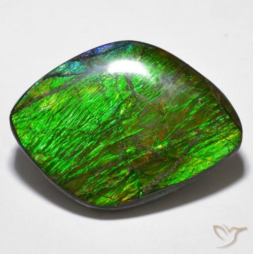 14.32ct Natürlicher Mehrfarbig Ammolith, Fantasie, Lichtundurchlässig