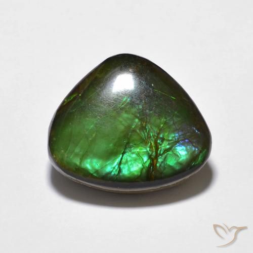 10.69ct Natürlicher Mehrfarbig Ammolith, Fantasie, Lichtundurchlässig