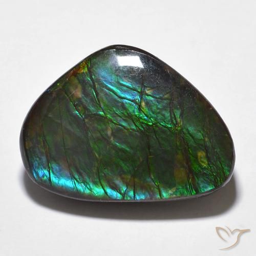 14.68ct Natürlicher Mehrfarbig Ammolith, Fantasie, Lichtundurchlässig