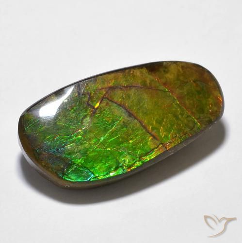 14.29ct Natürlicher Mehrfarbig Ammolith, Fantasie, Lichtundurchlässig