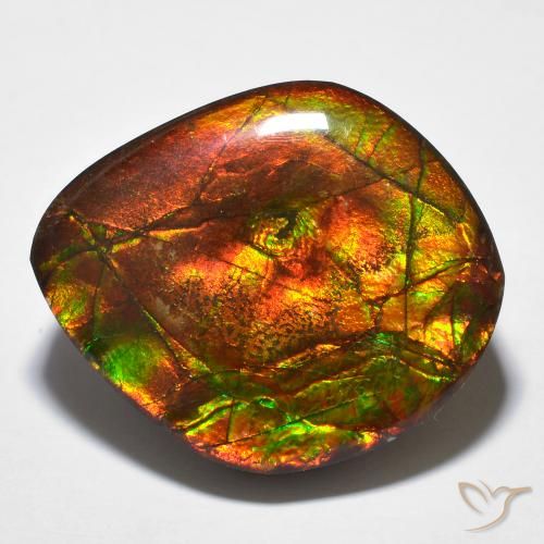 23.51ct Natürlicher Mehrfarbig Ammolith, Fantasie, Lichtundurchlässig