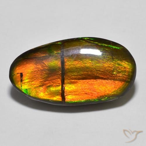 11.32ct Natürlicher Mehrfarbig Ammolith, Fantasie, Lichtundurchlässig