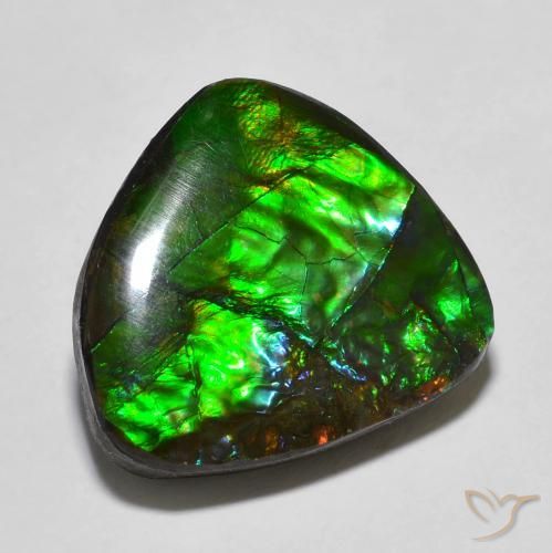 13.78ct Natürlicher Mehrfarbig Ammolith, Fantasie, Lichtundurchlässig