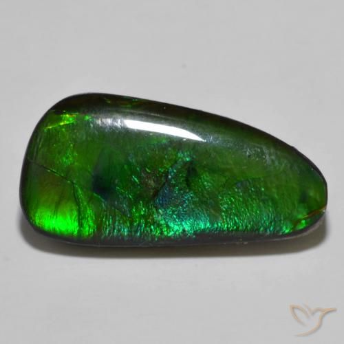 11.49ct Natürlicher Mehrfarbig Ammolith, Fantasie, Lichtundurchlässig