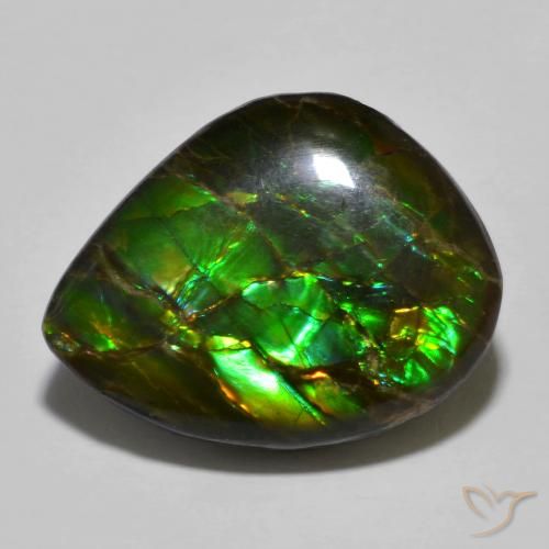 12.91ct Natürlicher Mehrfarbig Ammolith, Fantasie, Lichtundurchlässig
