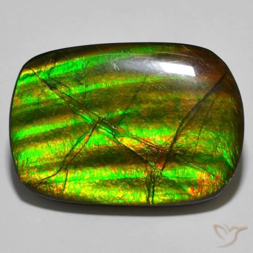 19.01ct Natürlicher Mehrfarbig Ammolith, Fantasie, Lichtundurchlässig