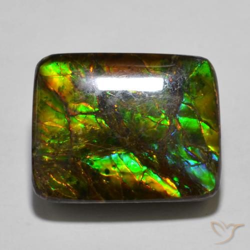16.01ct Natürlicher Mehrfarbig Ammolith, Kissen, Lichtundurchlässig