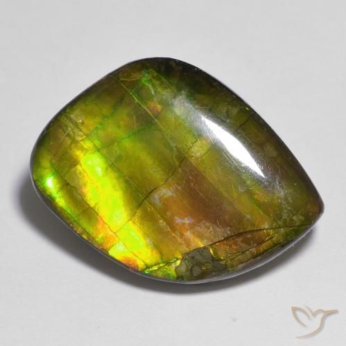 15.05ct Natürlicher Mehrfarbig Ammolith, Fantasie, Lichtundurchlässig