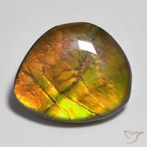 10.33ct Natürlicher Mehrfarbig Ammolith, Fantasie, Lichtundurchlässig