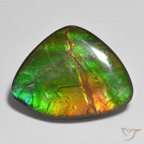 17.37ct Natürlicher Mehrfarbig Ammolith, Fantasie, Lichtundurchlässig