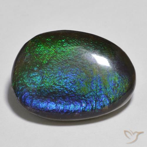 13.91ct Natürlicher Mehrfarbig Ammolith, Fantasie, Lichtundurchlässig