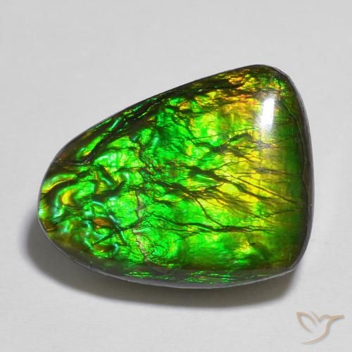 12.13ct Natürlicher Mehrfarbig Ammolith, Fantasie, Lichtundurchlässig
