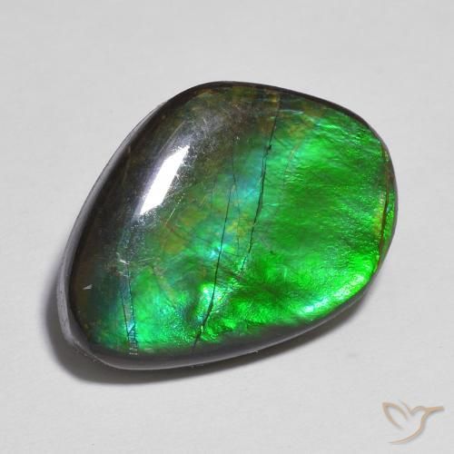 11.06ct Natürlicher Mehrfarbig Ammolith, Fantasie, Lichtundurchlässig