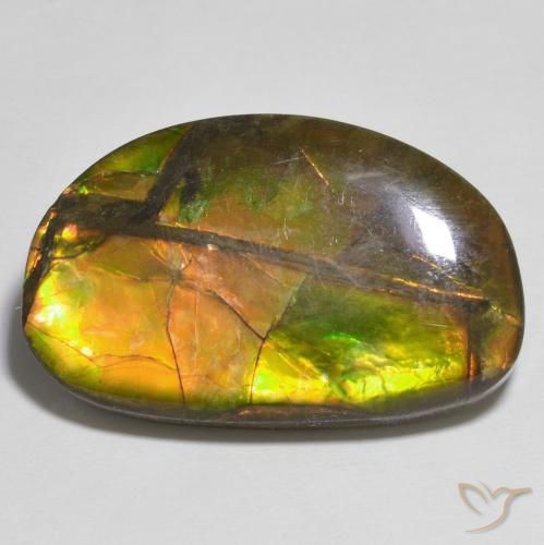 17.79ct Natürlicher Mehrfarbig Ammolith, Fantasie, Lichtundurchlässig