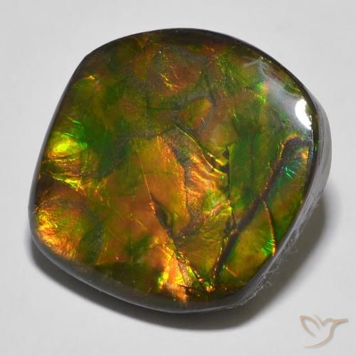 16.97ct Natürlicher Mehrfarbig Ammolith, Fantasie, Lichtundurchlässig