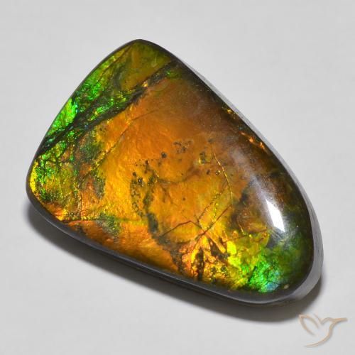 16.68ct Natürlicher Mehrfarbig Ammolith, Fantasie, Lichtundurchlässig