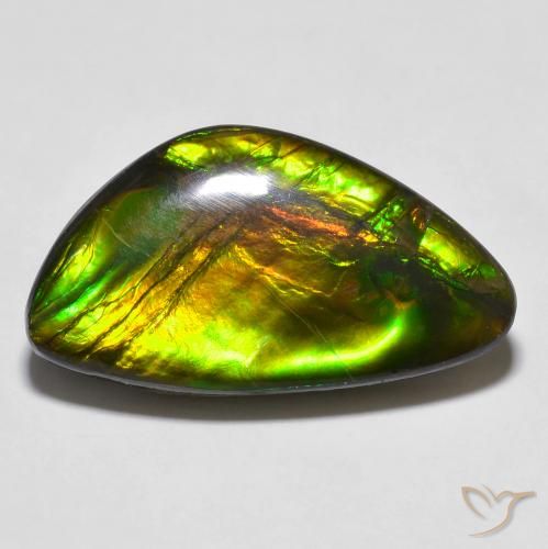 14.81ct Natürlicher Mehrfarbig Ammolith, Fantasie, Lichtundurchlässig