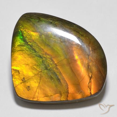 20.15ct Natürlicher Mehrfarbig Ammolith, Fantasie, Lichtundurchlässig