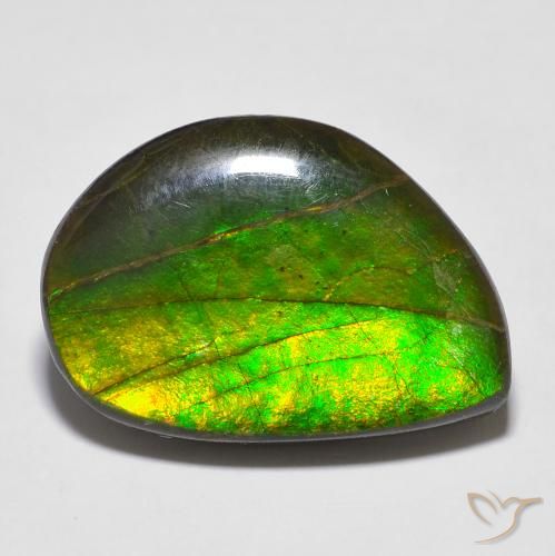 16.43ct Natürlicher Mehrfarbig Ammolith, Fantasie, Lichtundurchlässig