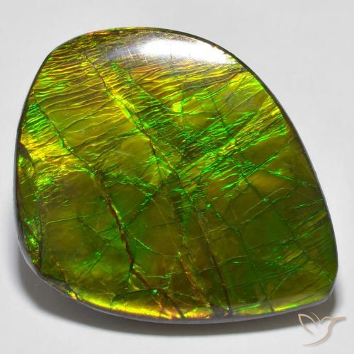 24.62ct Natürlicher Mehrfarbig Ammolith, Fantasie, Lichtundurchlässig