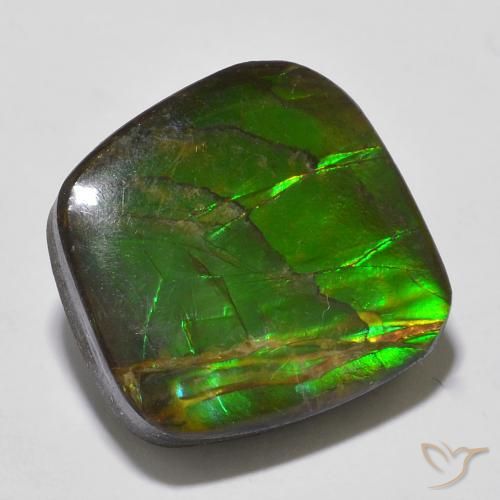 13.53ct Natürlicher Mehrfarbig Ammolith, Fantasie, Lichtundurchlässig