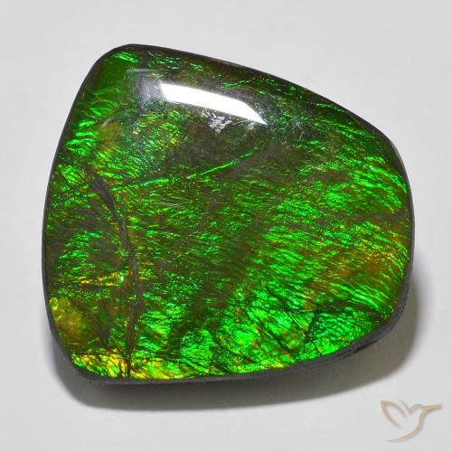 18.43ct Natürlicher Mehrfarbig Ammolith, Fantasie, Lichtundurchlässig