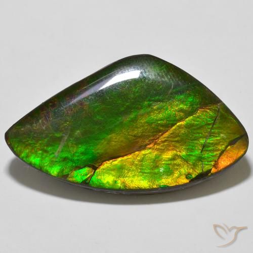23.11ct Natürlicher Mehrfarbig Ammolith, Fantasie, Lichtundurchlässig