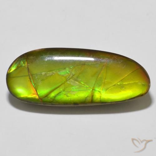 14.67ct Natürlicher Mehrfarbig Ammolith, Fantasie, Lichtundurchlässig
