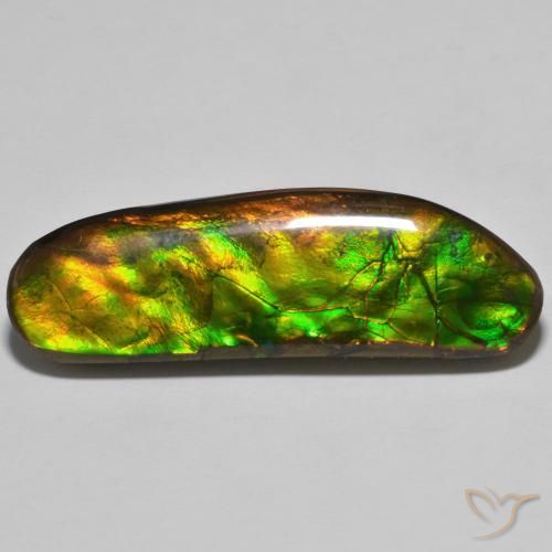 23.11ct Natürlicher Mehrfarbig Ammolith, Fantasie, Lichtundurchlässig