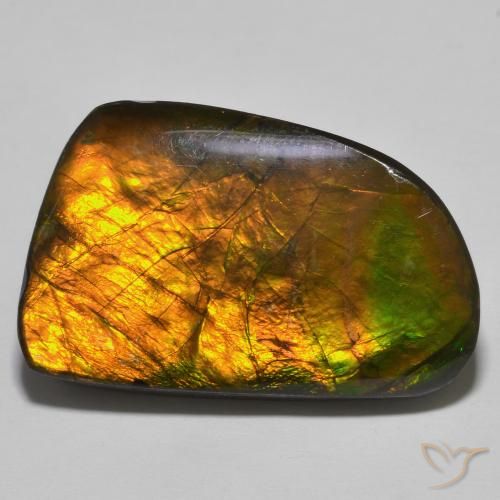 23.93ct Natürlicher Mehrfarbig Ammolith, Fantasie, Lichtundurchlässig