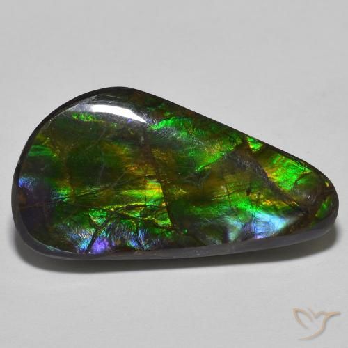 15.09ct Natürlicher Mehrfarbig Ammolith, Fantasie, Lichtundurchlässig
