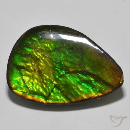 24.89ct Natürlicher Mehrfarbig Ammolith, Fantasie, Lichtundurchlässig
