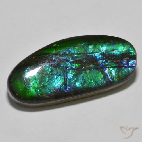 18.92ct Natürlicher Mehrfarbig Ammolith, Fantasie, Lichtundurchlässig