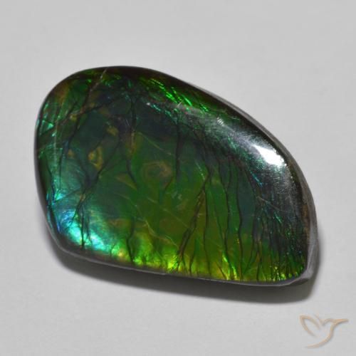 21.44ct Natürlicher Mehrfarbig Ammolith, Fantasie, Lichtundurchlässig