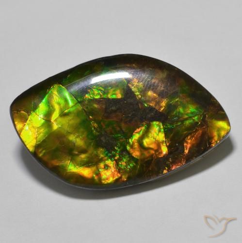 22.60ct Natürlicher Mehrfarbig Ammolith, Fantasie, Lichtundurchlässig