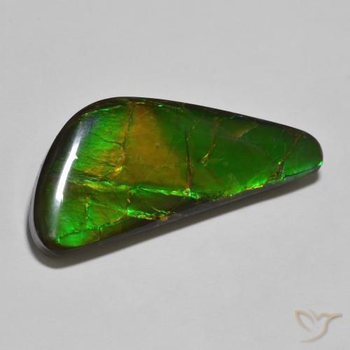 22.11ct Natürlicher Mehrfarbig Ammolith, Fantasie, Lichtundurchlässig