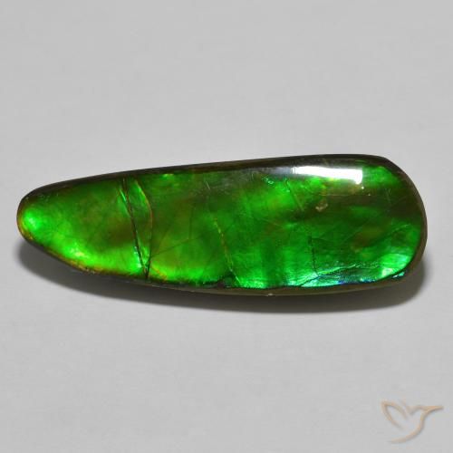 17.83ct Natürlicher Mehrfarbig Ammolith, Fantasie, Lichtundurchlässig