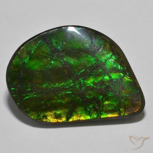 21.40ct Natürlicher Mehrfarbig Ammolith, Fantasie, Lichtundurchlässig