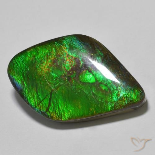 19.69ct Natürlicher Mehrfarbig Ammolith, Fantasie, Lichtundurchlässig