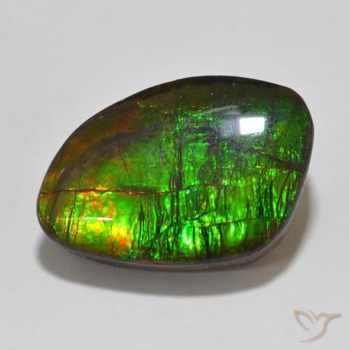 13.47ct Natürlicher Mehrfarbig Ammolith, Fantasie, Lichtundurchlässig