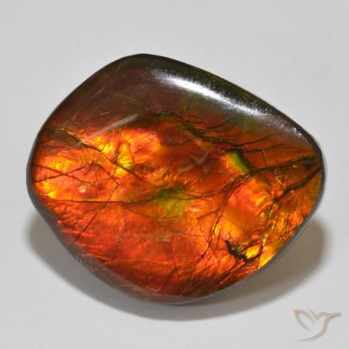 15.32ct Natürlicher Mehrfarbig Ammolith, Fantasie, Lichtundurchlässig