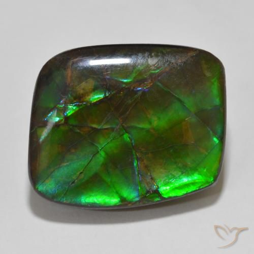 14.81ct Natürlicher Mehrfarbig Ammolith, Fantasie, Lichtundurchlässig