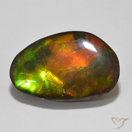 13.56ct Natürlicher Mehrfarbig Ammolith, Fantasie, Lichtundurchlässig